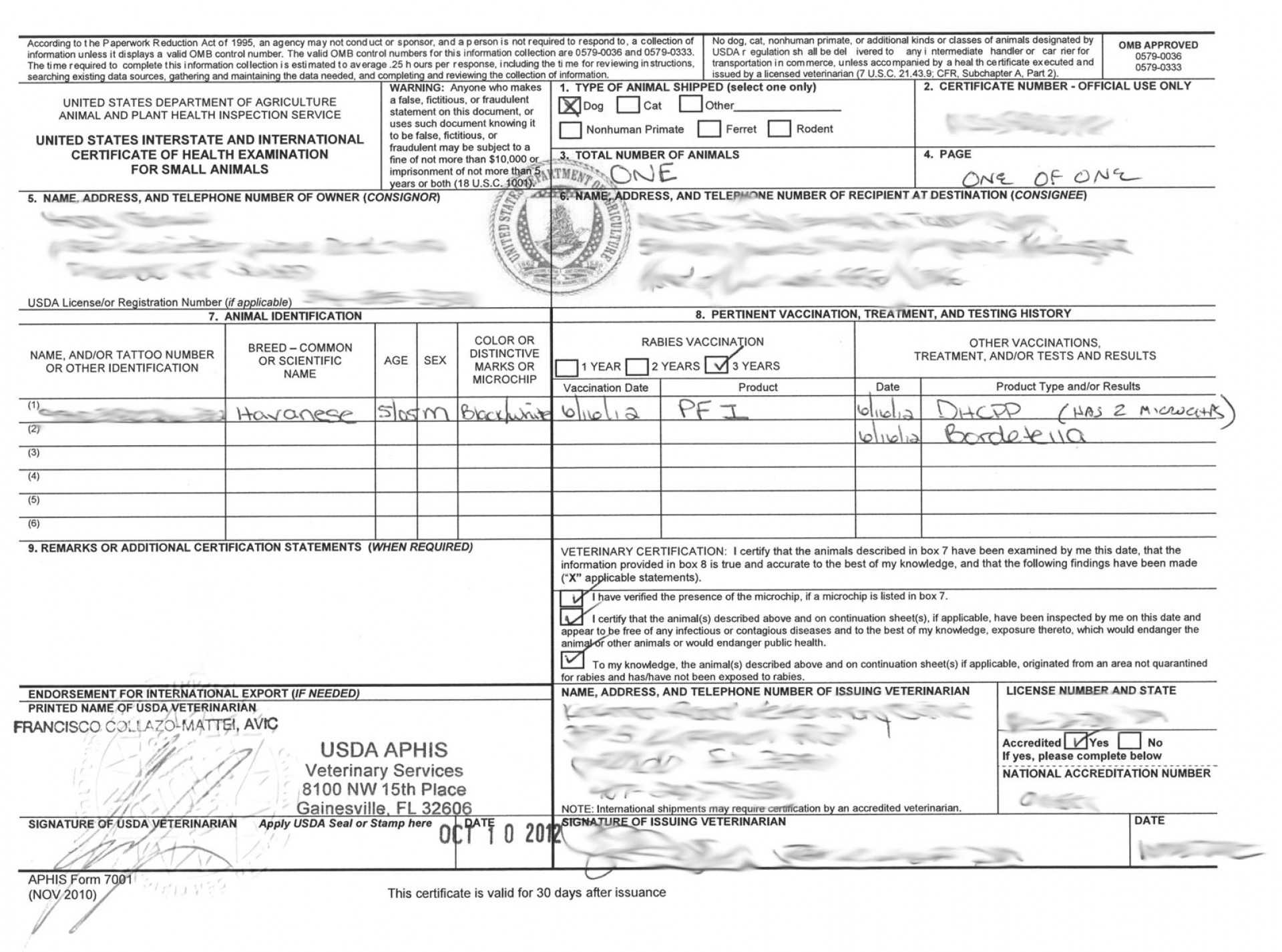 001 Pet Health Certificate Template Ideas Stirring Printable In Veterinary Health Certificate Template