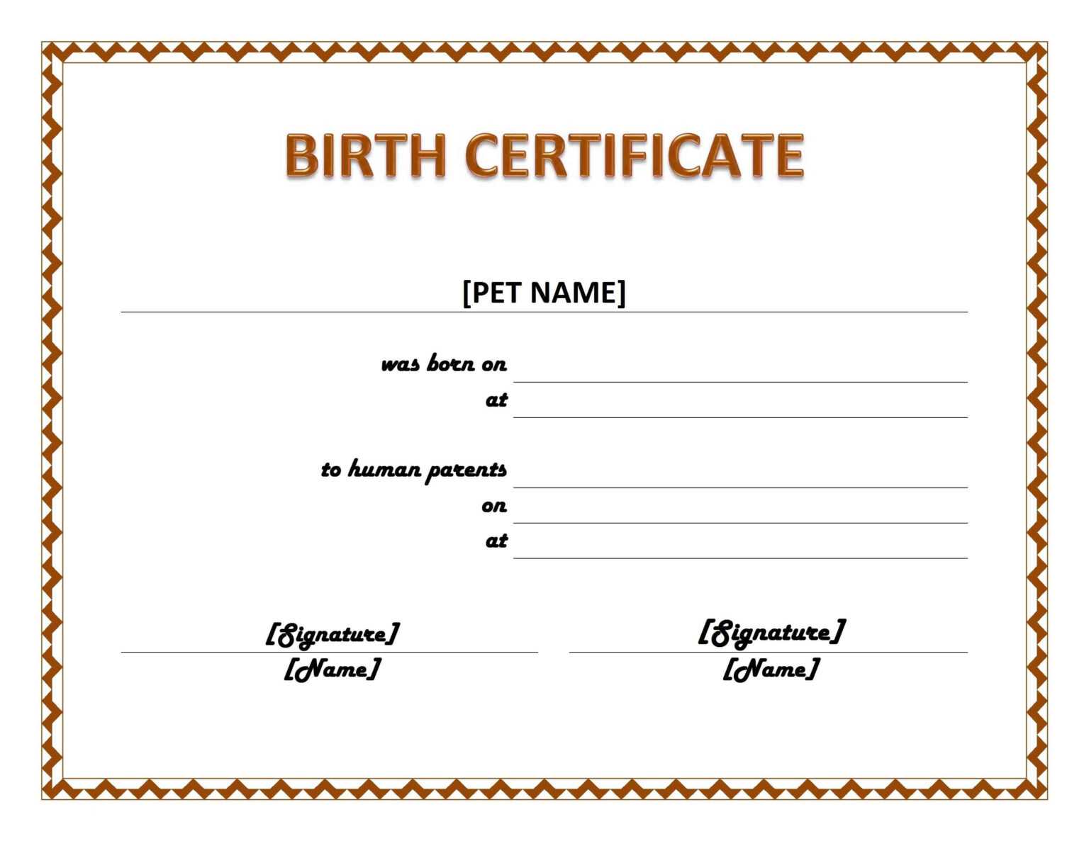 Official Birth Certificate Template