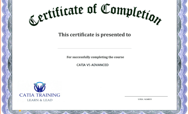 009 Template Ideas Certificate Templates For Rare Word within Word 2013 Certificate Template