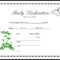 013 Appealing Official Birth Certificate Template Sample Intended For Baby Dedication Certificate Template