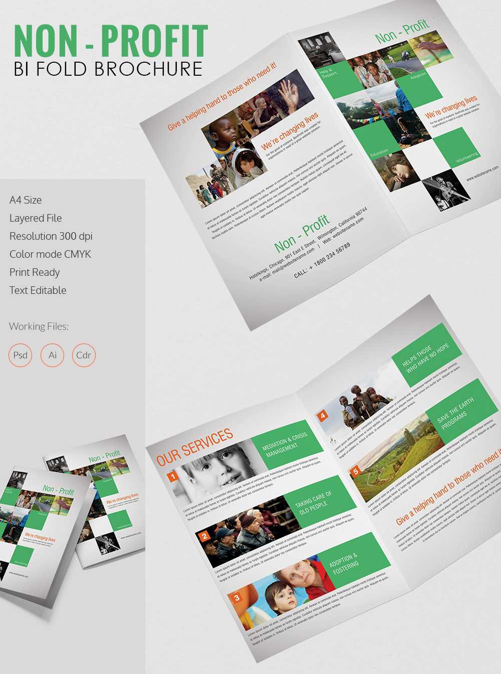 013 Template Ideas Bi Fold Brochure Free Half Page With Regard To Half Page Brochure Template