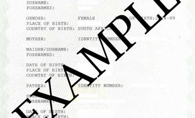 014 Large Template Ideas Official Birth Archaicawful intended for South African Birth Certificate Template