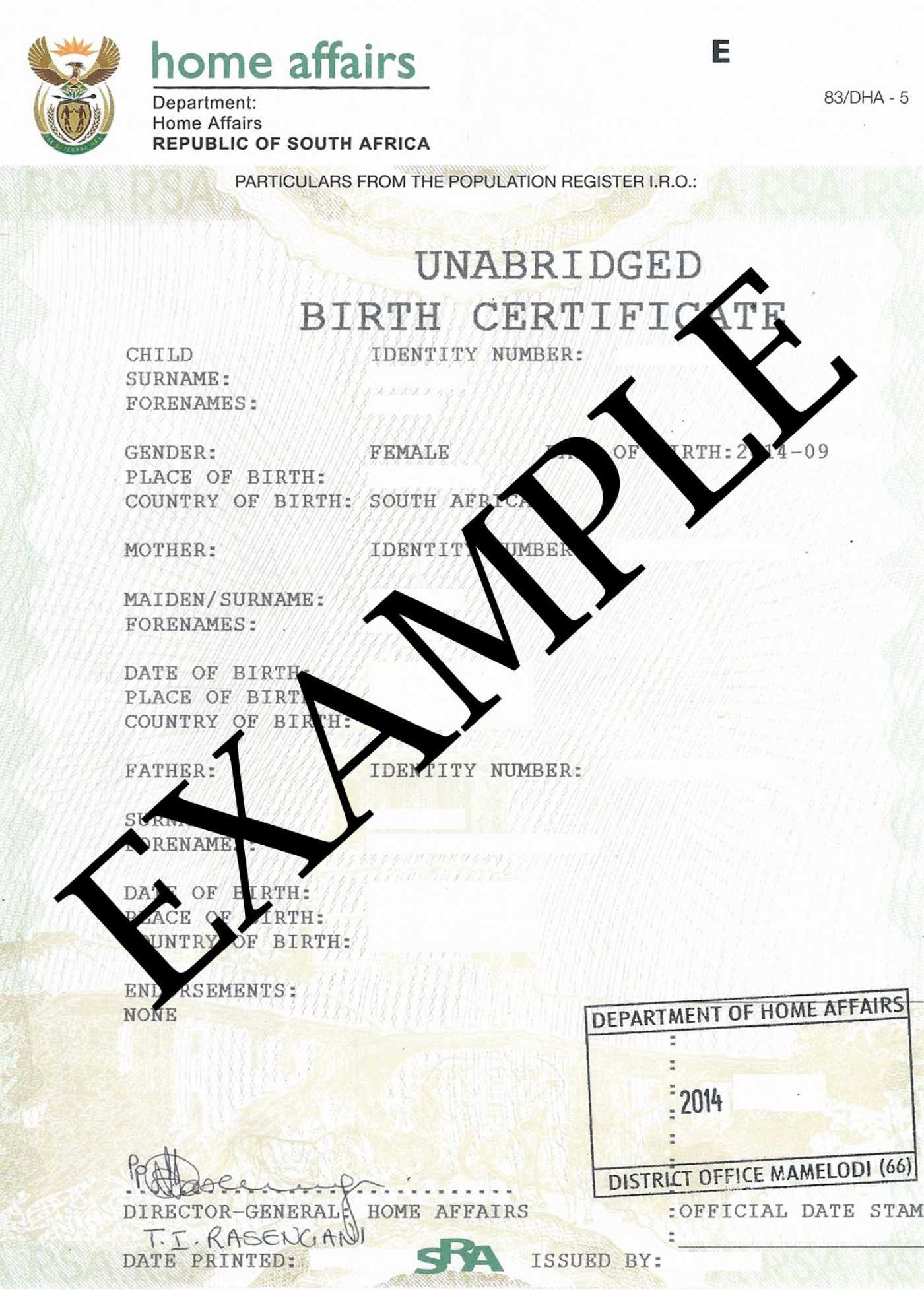 South African Birth Certificate Template – Sample.gelorailmu.com