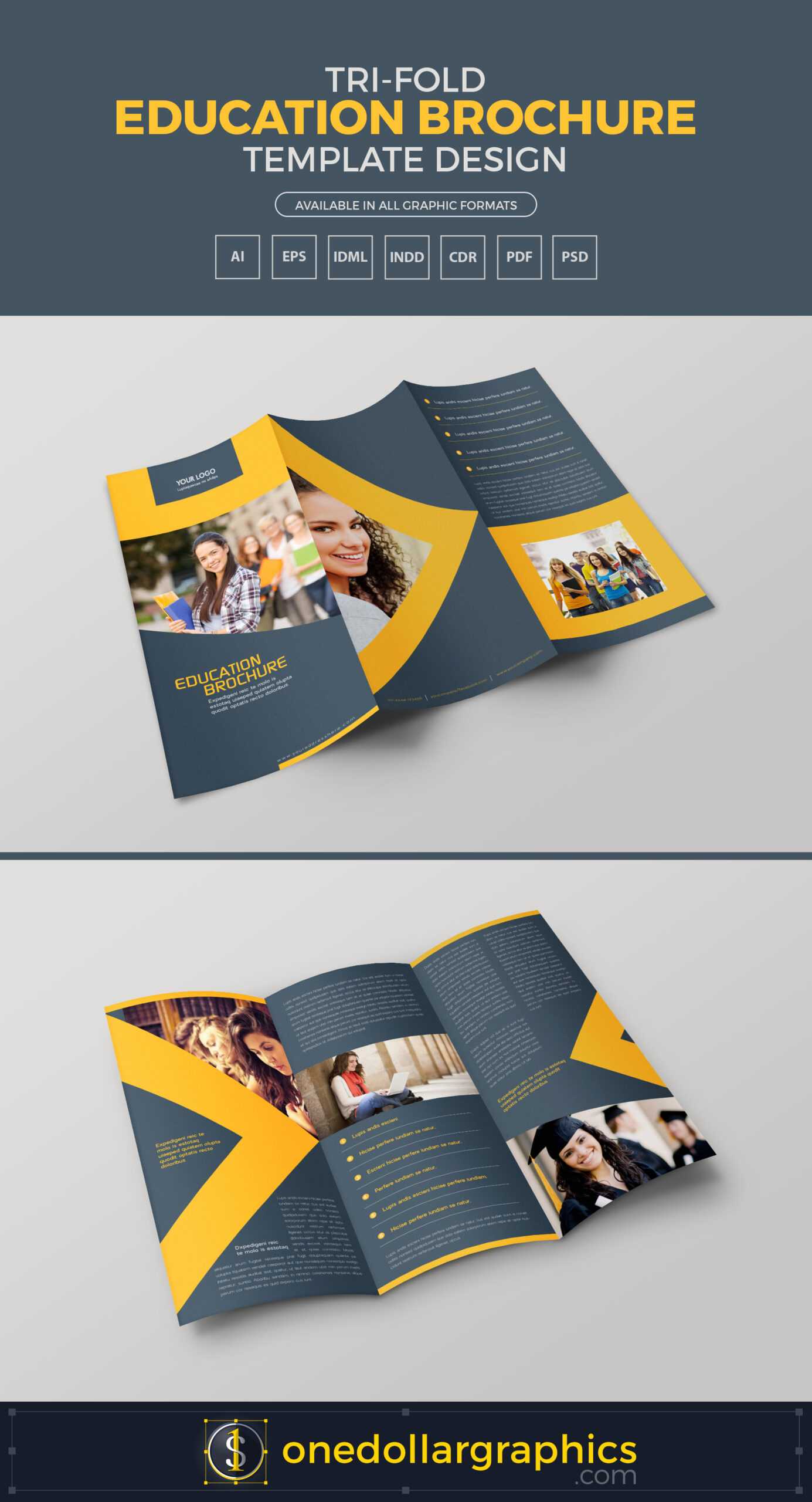 018 Tri Fold Brochure Template Indd Ideas Education Design With Regard To Tri Fold Brochure Template Indesign Free Download