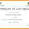 022 Template Ideas Training Certificate Word Stock Cash For Template For Training Certificate