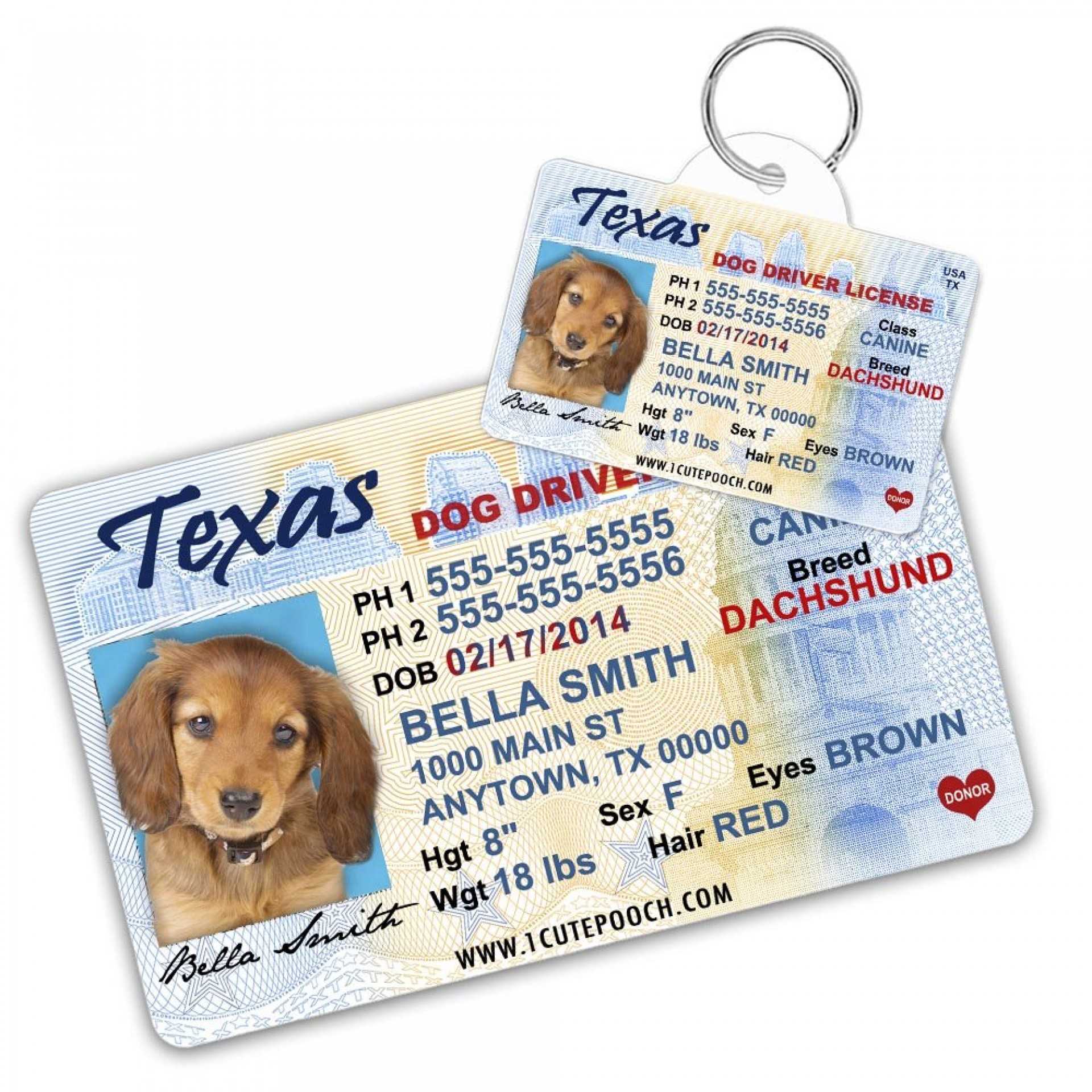 043 Printable Service Dog Id Card Template Staggering Ideas Pertaining To Texas Id Card Template