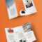 100 Best Indesign Brochure Templates With Adobe Tri Fold Brochure Template
