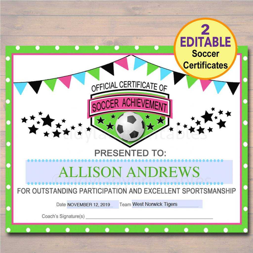 13+ Soccer Award Certificate Examples – Pdf, Psd, Ai For Soccer Award Certificate Templates Free