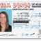 25 Images Of California Id Card Template Photoshop With Florida Id Card Template