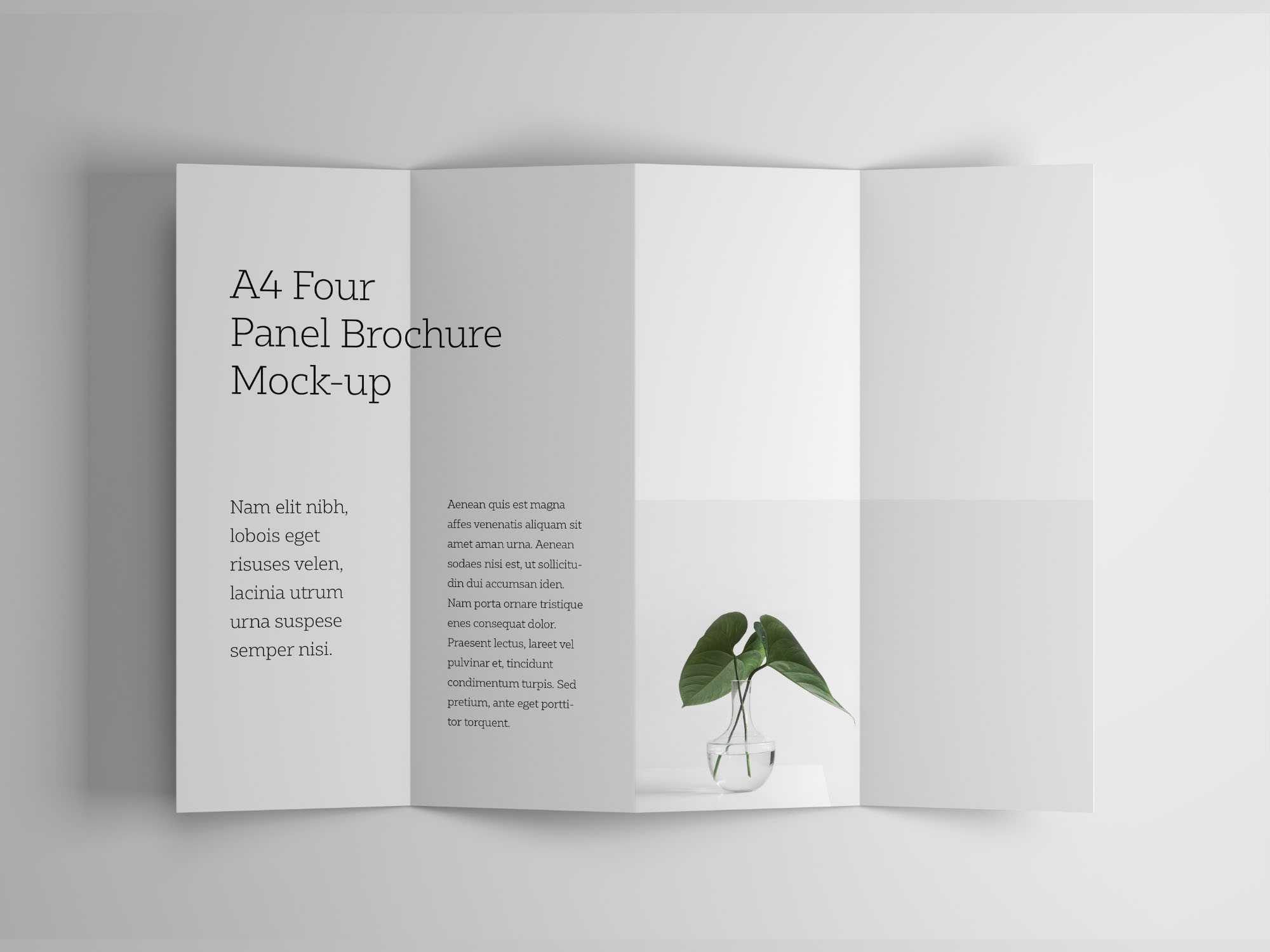 4 Panel Brochures – Colona.rsd7 For 4 Fold Brochure Template Word