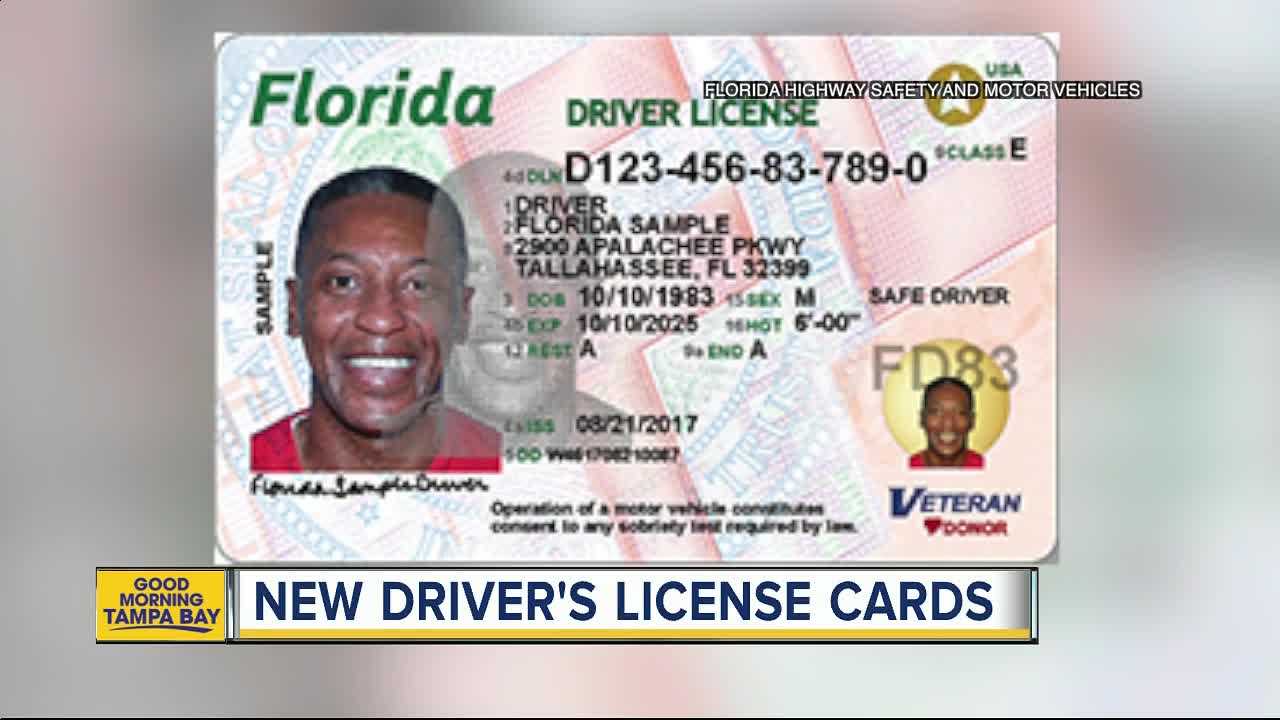 7A537 Florida Driver License Template | Wiring Resources For Florida Id Card Template