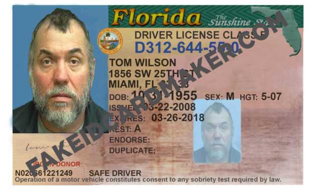 7A537 Florida Driver License Template | Wiring Resources within Florida Id Card Template