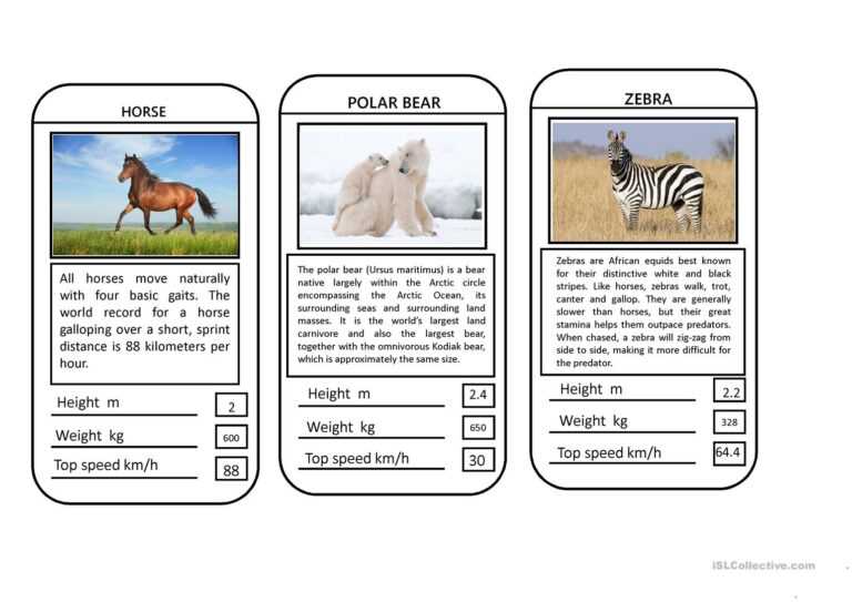 top trumps safari animals