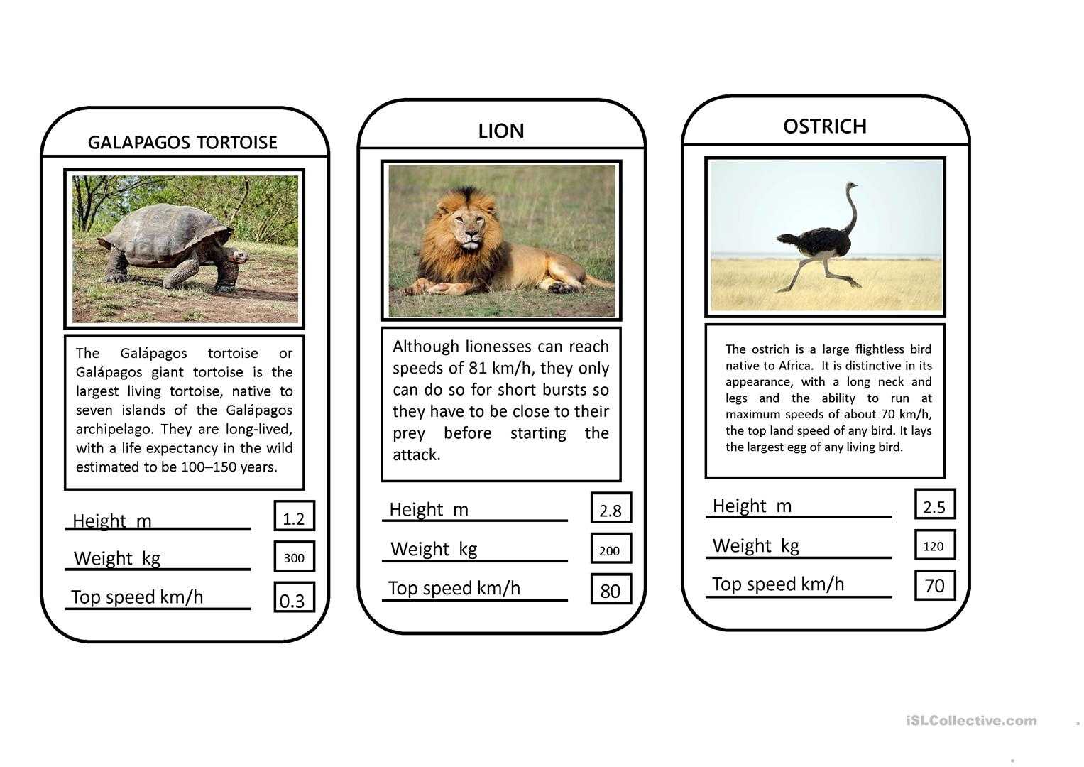 Animal Top Trumps Game – English Esl Powerpoints With Top Trump Card Template