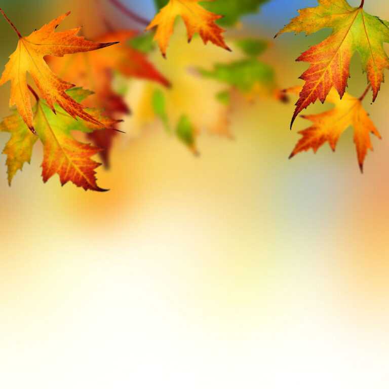 autumn-ppt-background-colona-rsd7-intended-for-free-fall-powerpoint-templates-great-sample