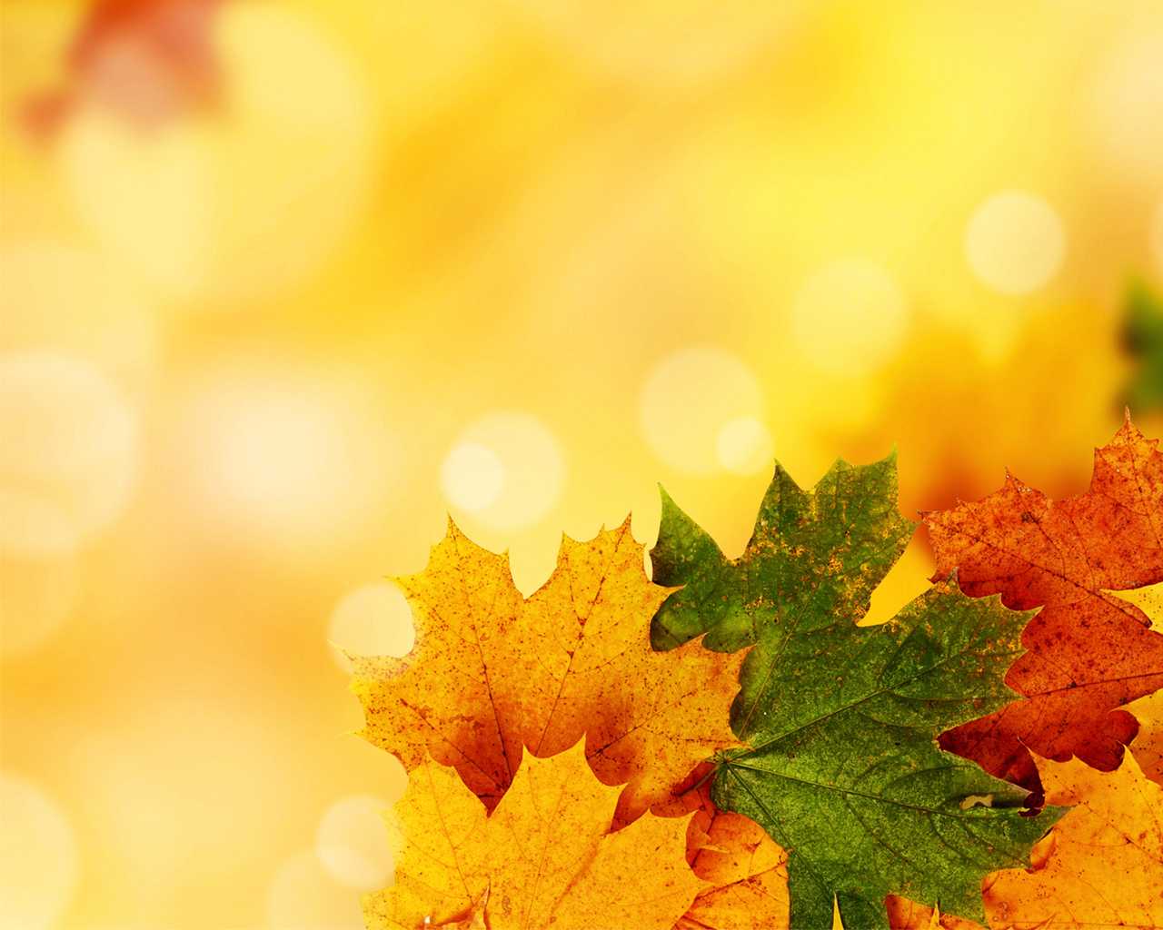 Autumn Ppt Background – Colona.rsd7 With Free Fall Powerpoint Templates