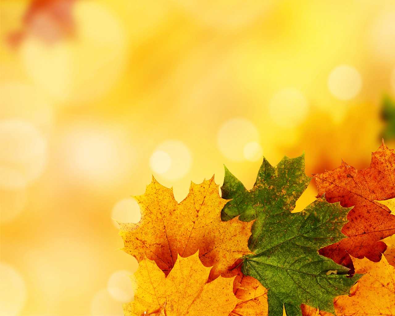 Autumn Ppt Background Colona rsd7 With Free Fall Powerpoint Templates