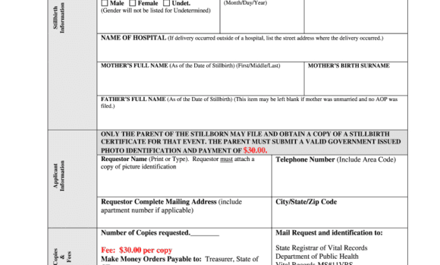 Baby Death Certificate Template - Fill Online, Printable regarding Baby Death Certificate Template