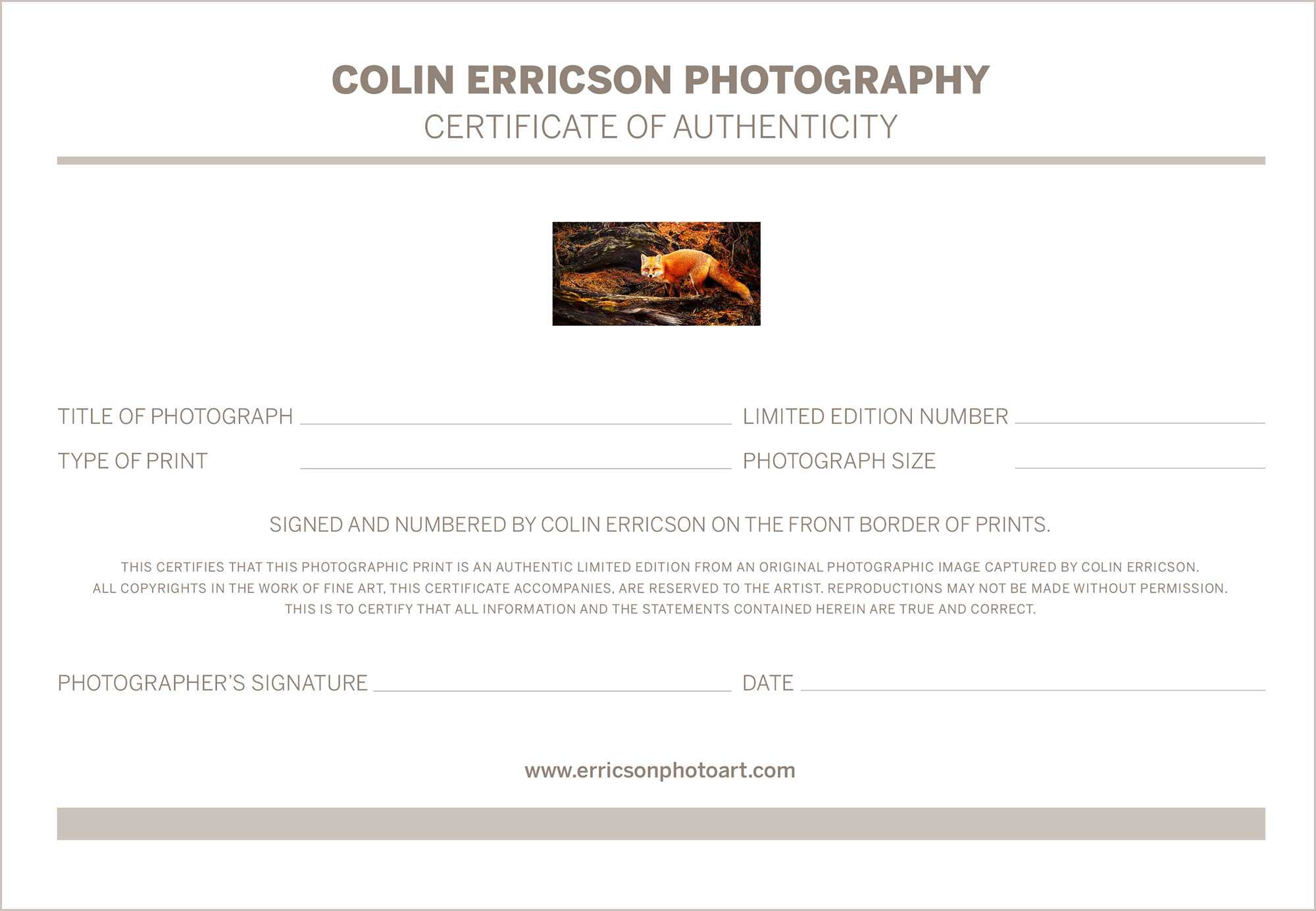 Certificate Of Authenticity Photography – Printable Receipt In Photography Certificate Of Authenticity Template
