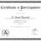 Conference Certificate Of Participation Template – Tunu With Regard To Certificate Of Participation Template Doc