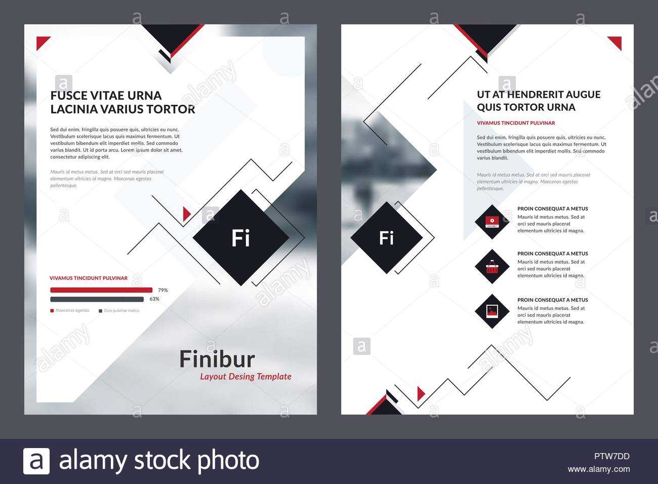 Elements Of Infographics For Brochure Template And Magazine For Membership Brochure Template