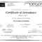 Exam Certificate Template – Tunu.redmini.co Within Gymnastics Certificate Template