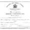 🥰free Printable Certificate Of Birth Sample Template🥰 In Novelty Birth Certificate Template