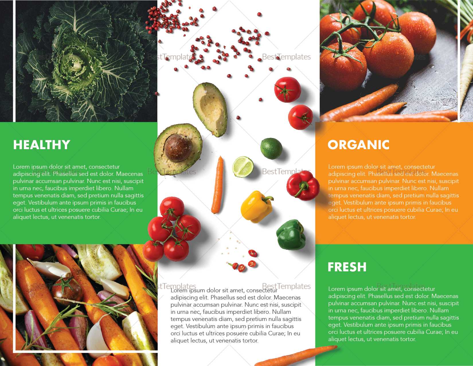 Food Brochure Template For Nutrition Brochure Template