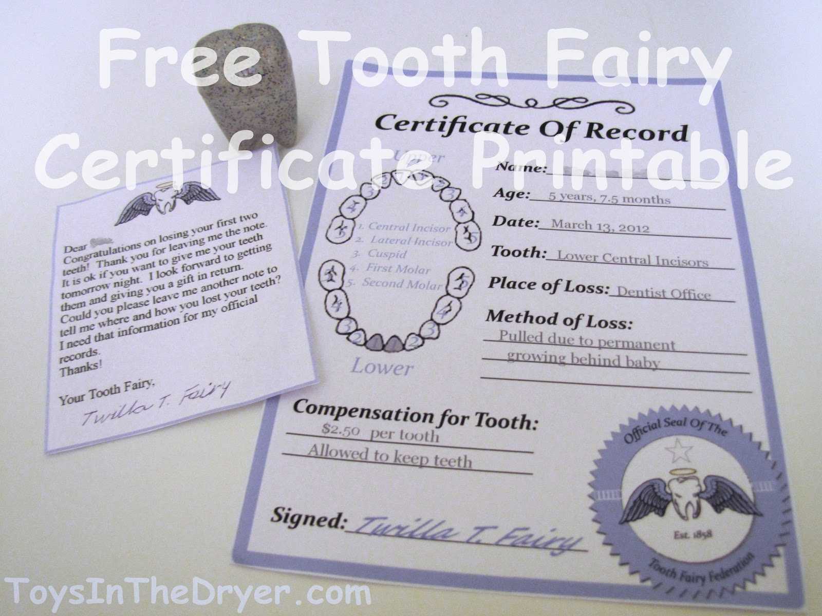 Free Tooth Fairy Certificate Inside Tooth Fairy Certificate Template Free