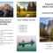 Free Tri Fold Brochure Templates & Examples [15+ Free Templates] With Country Brochure Template