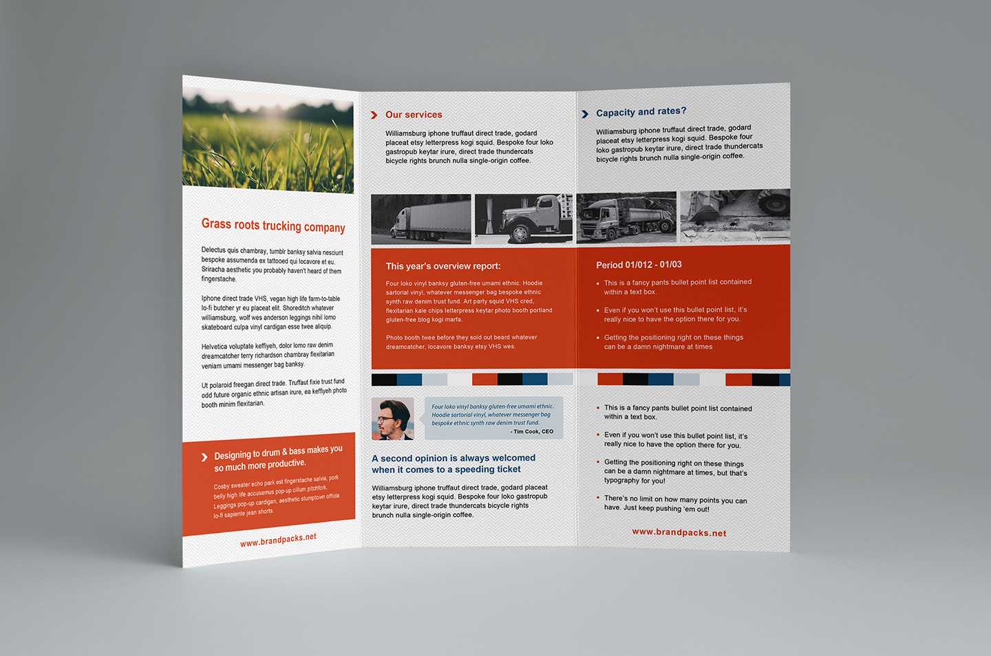 3 Fold Brochure Template Psd