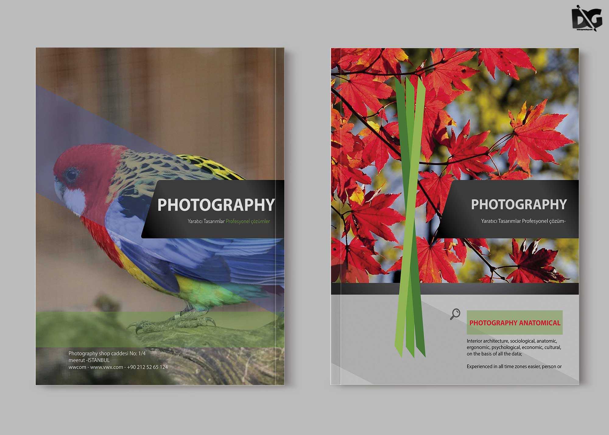 Free Zoo Photography Psd Brochure Template | Free Psd Mockup Throughout Zoo Brochure Template
