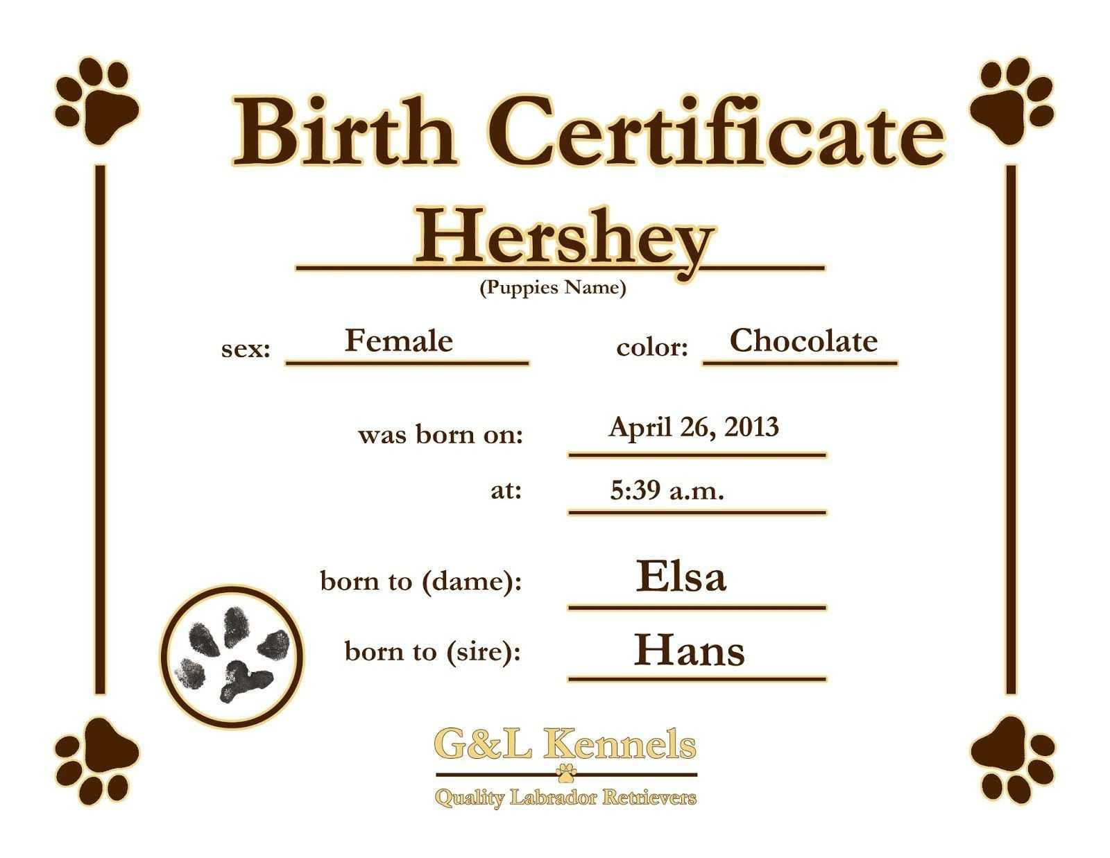 Great For Teddy Bear And Baby Doll Birth Certificates Free For Baby Doll Birth Certificate Template