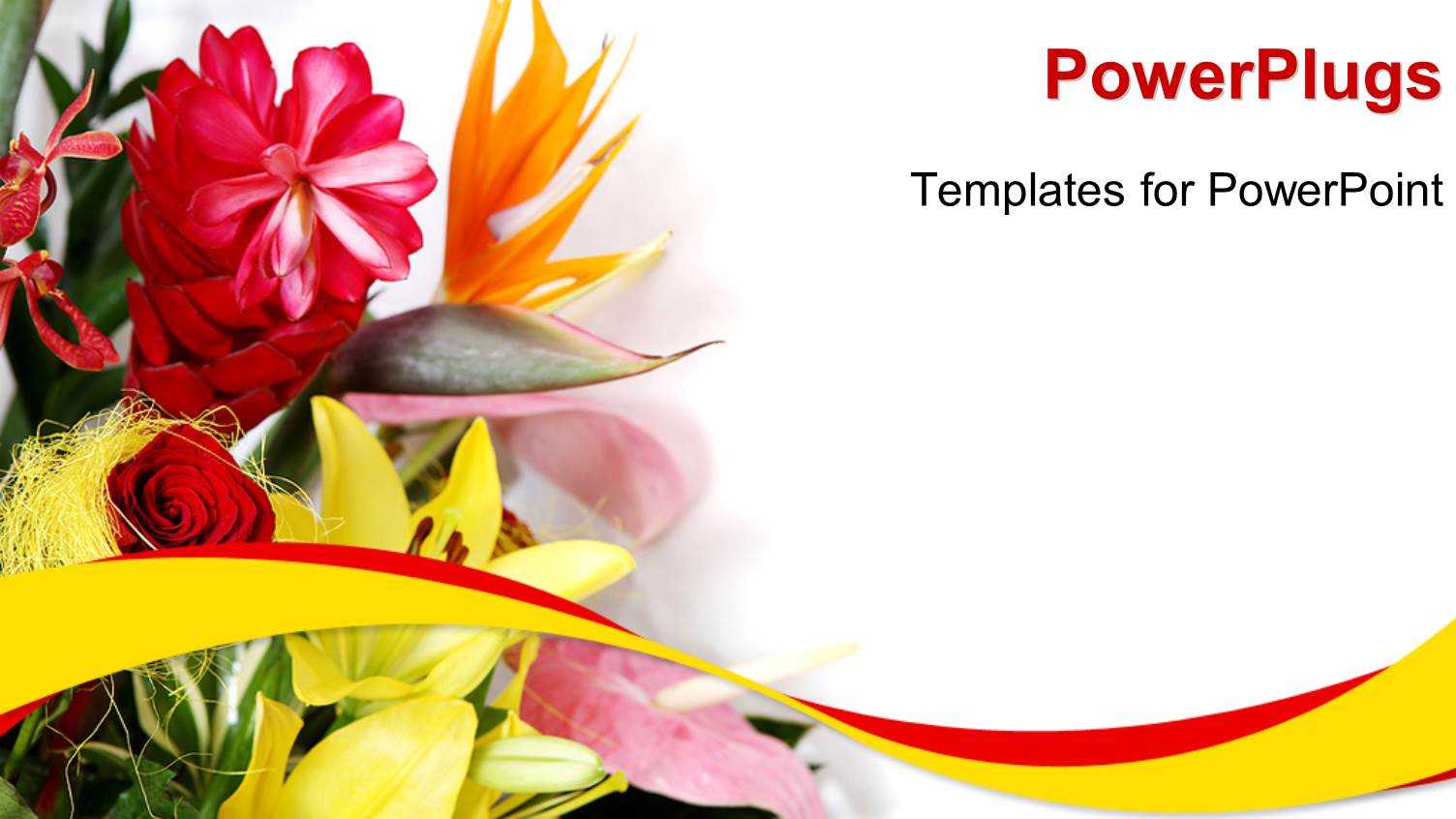 Greeting Template. Greeting Cards Word Templates Publisher Throughout Greeting Card Template Powerpoint