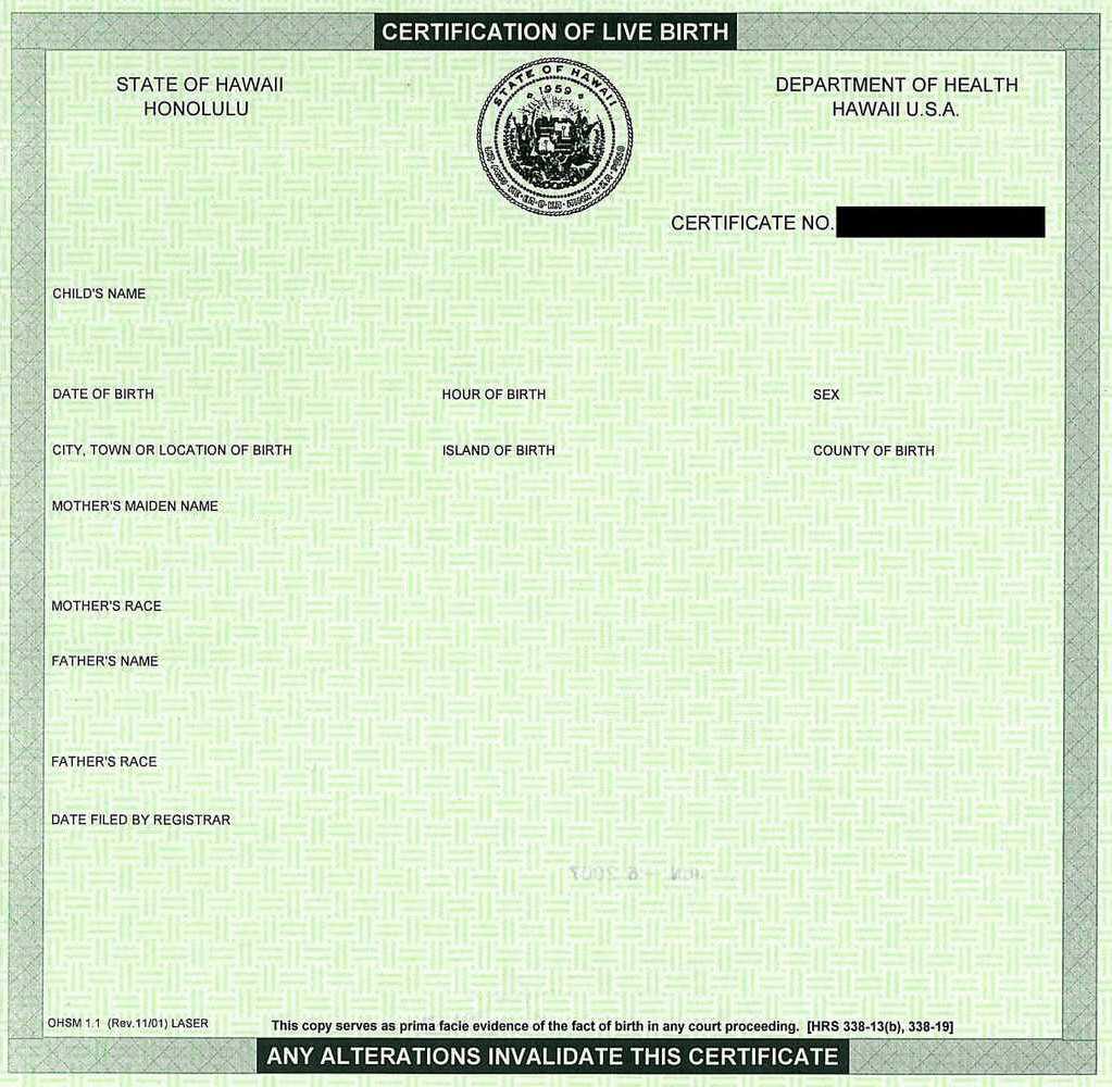 Make A Birth Certificate Lovely 15 Birth Certificate With Birth Certificate Fake Template
