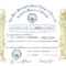 Masonic Certificate Template Free | Certificatetemplatefree Inside Life Membership Certificate Templates