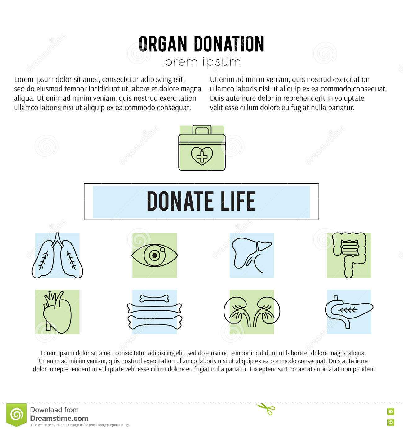 Organ Donation Template Stock Vector. Illustration Of Case Intended For Organ Donor Card Template
