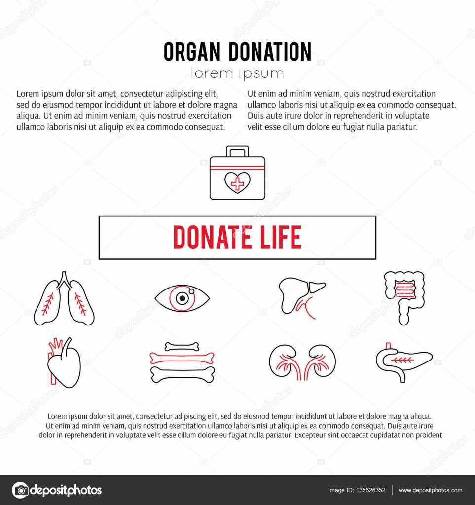 Organ Donation Template — Stock Vector © Julia Khimich Throughout Organ Donor Card Template