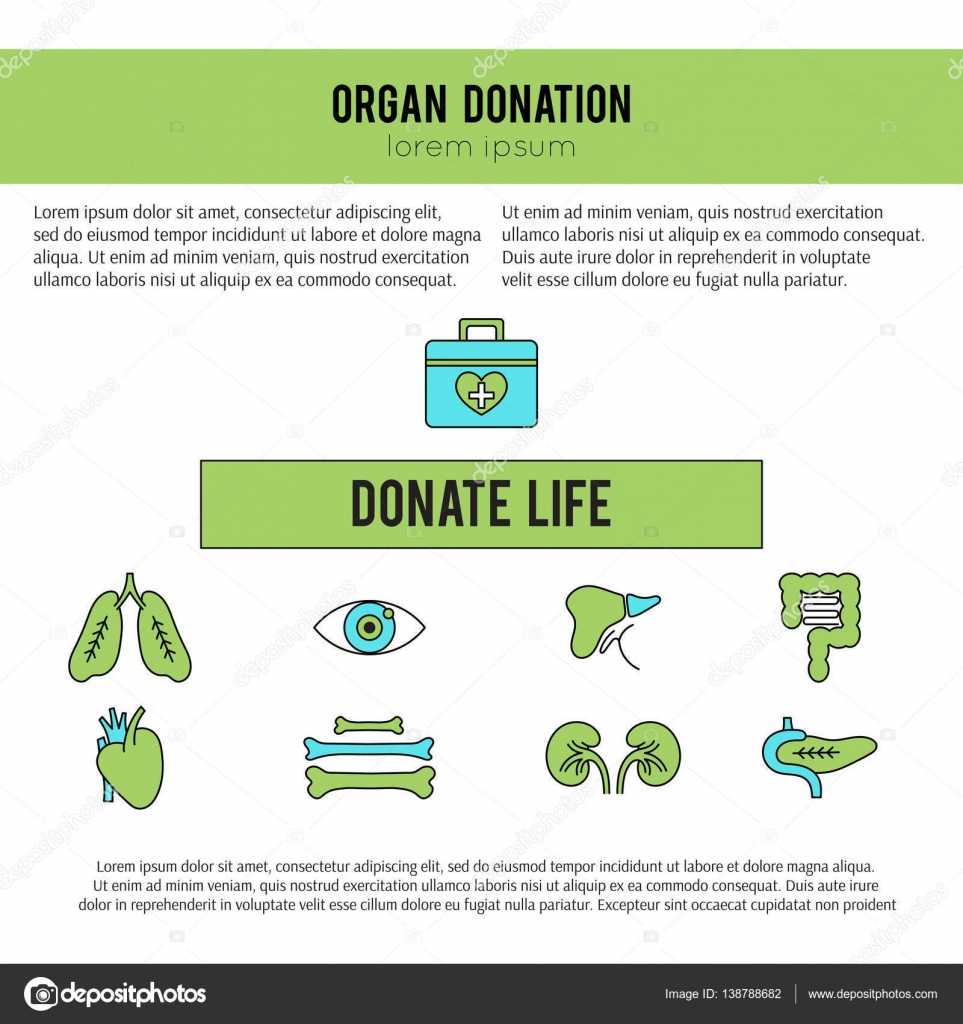 Organ Donation Template — Stock Vector © Julia Khimich With Organ Donor Card Template