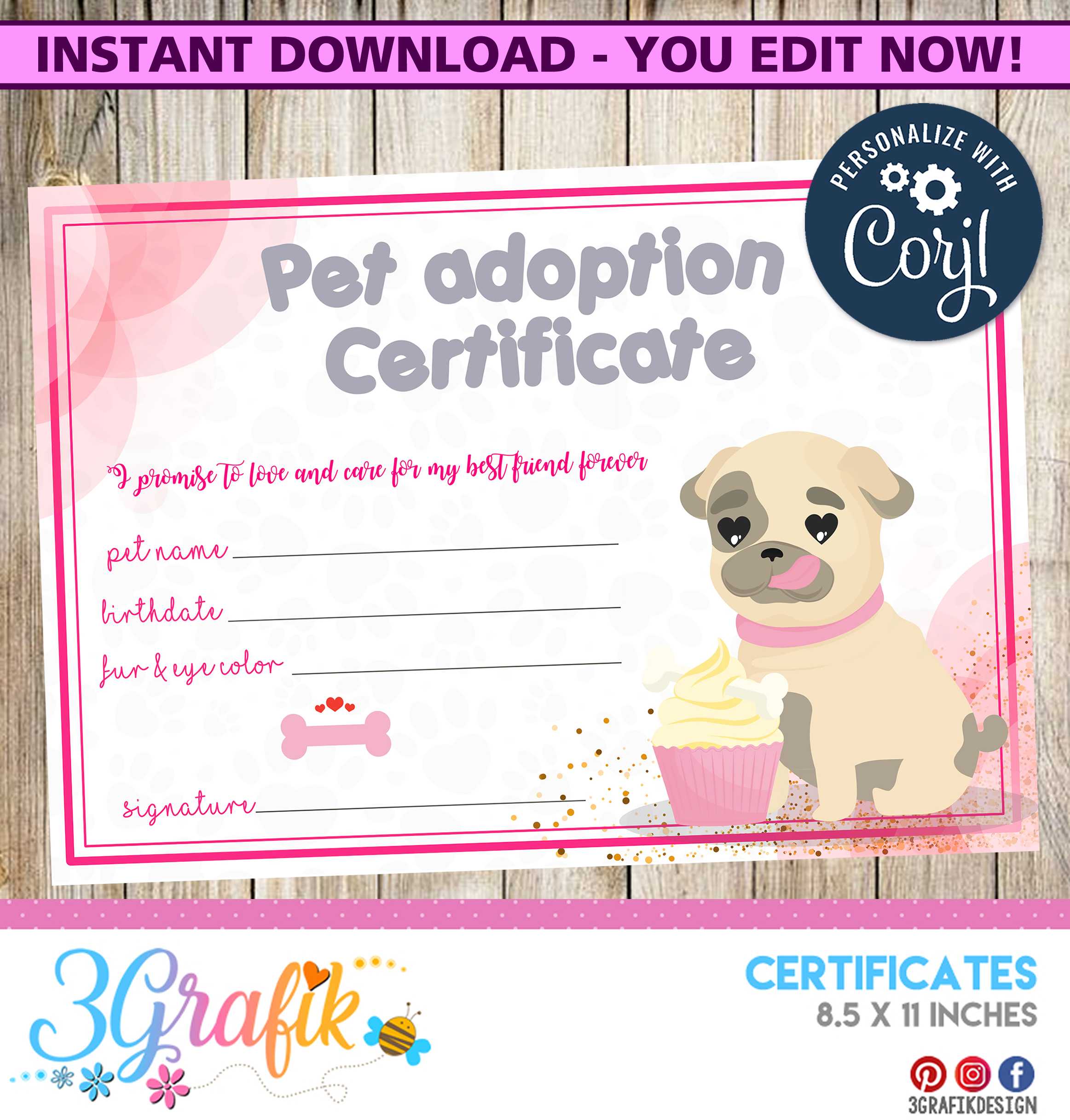 Pet Adoption – Certificate – Printable Pertaining To Pet Adoption Certificate Template