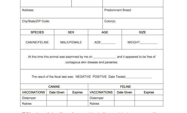 Pet Health Certificate Template - Fill Online, Printable with Veterinary Health Certificate Template