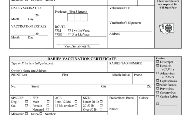 Rabies Certificate Template - Fill Online, Printable regarding Rabies Vaccine Certificate Template