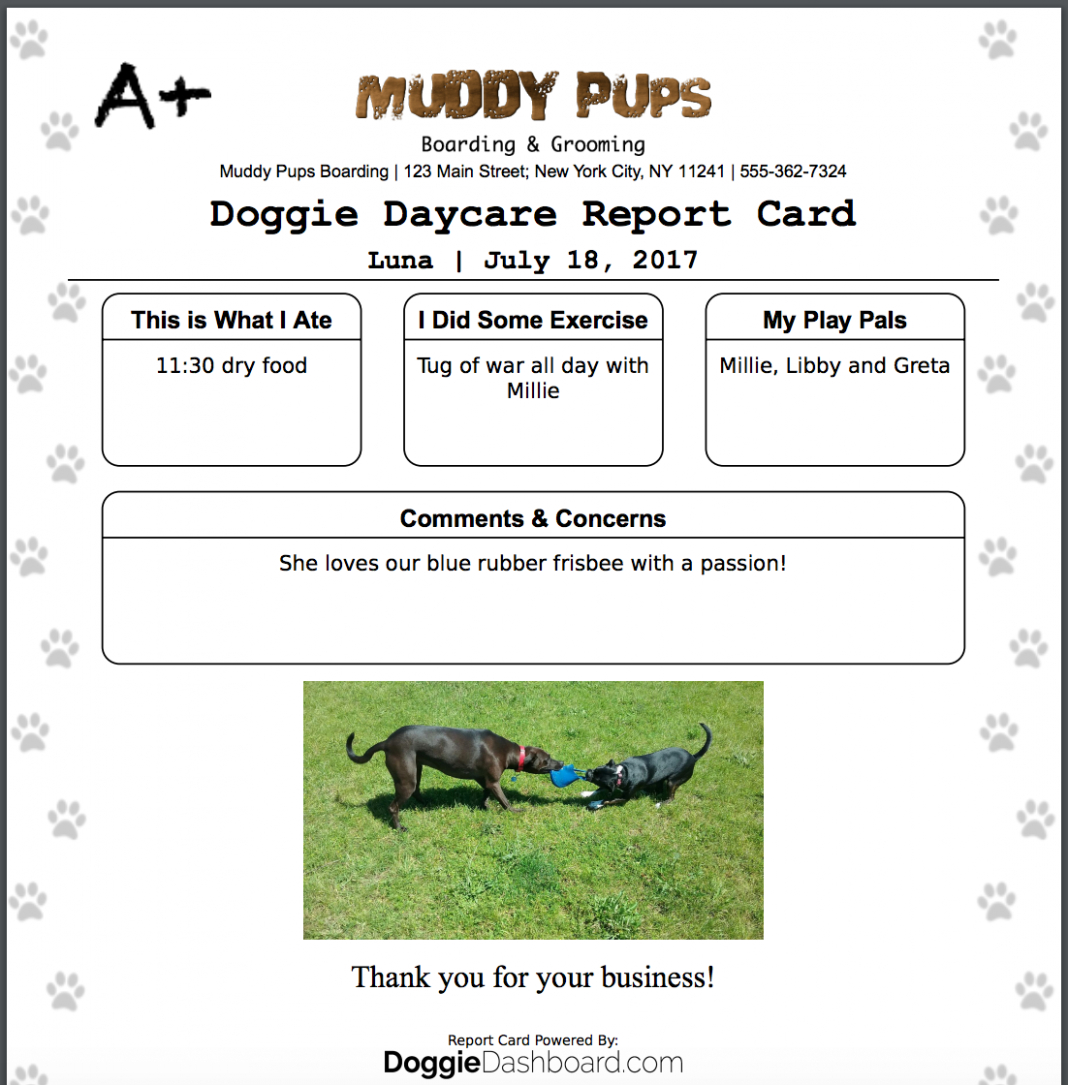 Report Examples Dog Walking Card Template Doggiedashboard With Regard To Dog Grooming Record Card Template