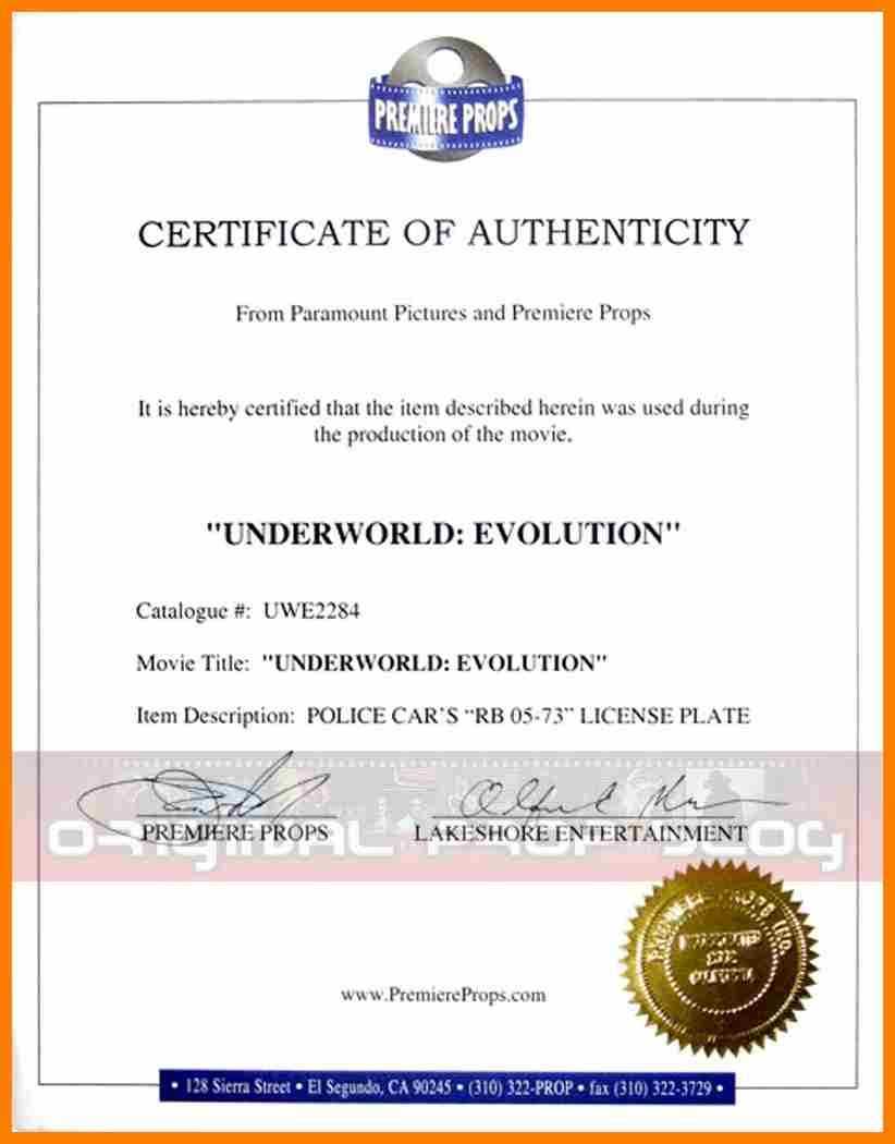 Sales Agent Authorization Certificate Word Template Regarding Certificate Of Authorization Template
