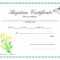 Sample Baptism Certificate Templates – Sample Certificate Within Baptism Certificate Template Download