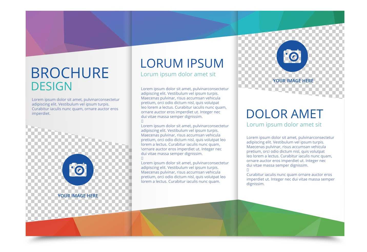 Tri Fold Brochure Vector Template – Download Free Vectors Throughout Three Panel Brochure Template