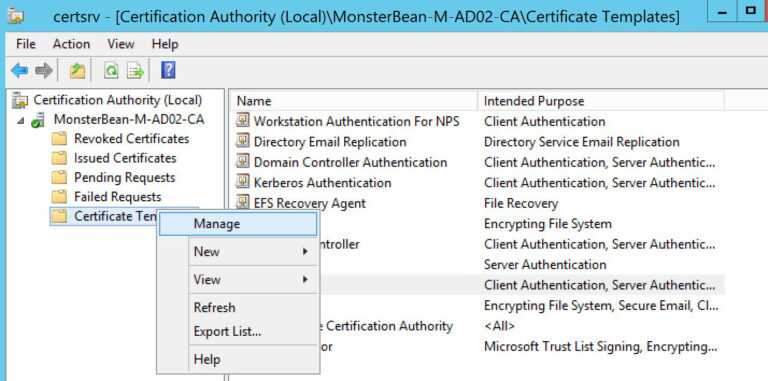Workstation Authentication Certificate Template