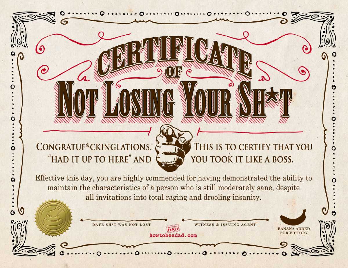 Your Certificate Of Not Losing Your Sh*t With Fun Certificate Templates